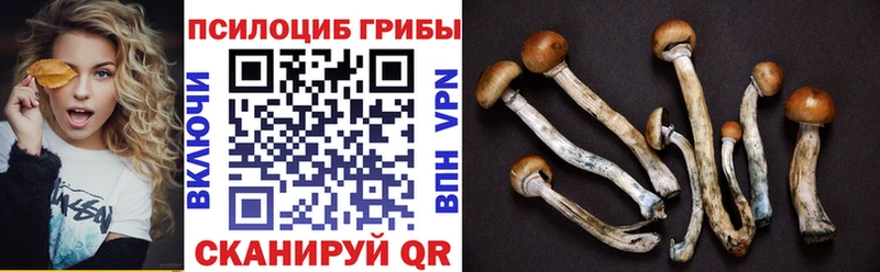 где можно купить наркотик  Славянск-на-Кубани  Галлюциногенные грибы мухоморы 